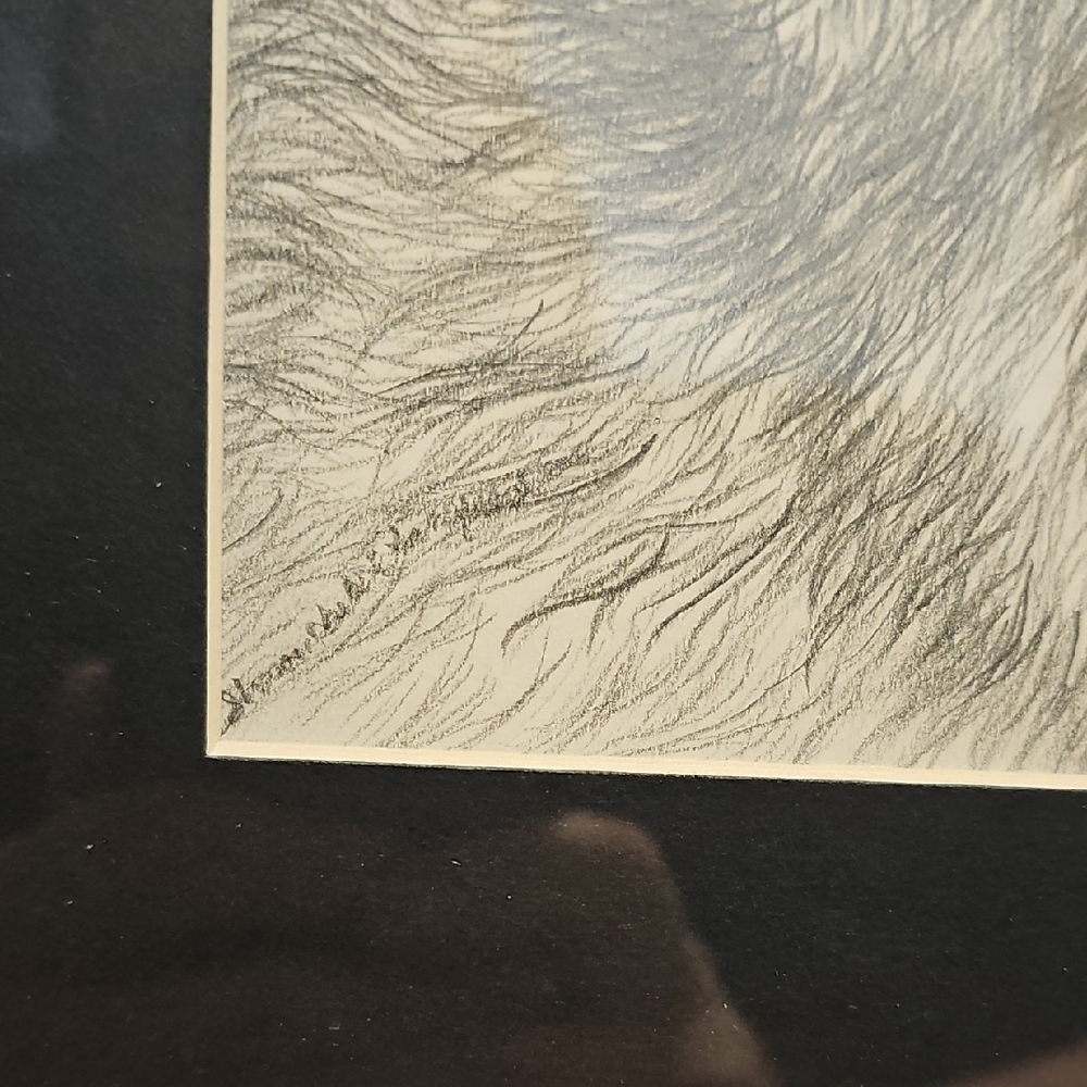 Gray Wolf Illustration in Gray Frame - Picture 10 of 11